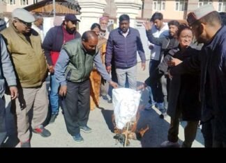 कांग्रेस कार्यकर्ताओं का पौड़ी कलेक्ट्रेट में जोरदार प्रदर्शन, स्वास्थ्य मंत्री का फूंका पुतला Congress workers protest at Pauri Collectorate