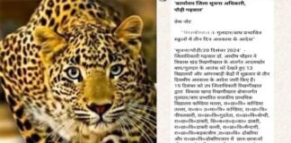 गुलदार का आतंक: पौड़ी गढ़वाल के इन 13 विद्यालयों में तीन दिन का अवकाश घोषित school closed due to guldar fear