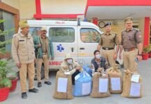 उत्तराखंड: एम्बुलेंस से हो रही थी गांजे की तस्करी, 14 लाख के माल के साथ दो तस्कर गिरफ्तार smuggling of ganja in ambulance