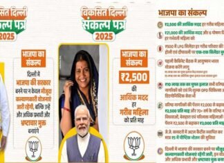 Delhi election: दिल्ली चुनाव के लिए भाजपा ने संकल्प पत्र किया जारी, महिलाओं को हर महीने 2500 रुपये, मुफ्त बिजली-पानी, होली-दिवाली पर फ्री सिलेंडर, और भी कई एलान BJP manifesto for Delhi elections