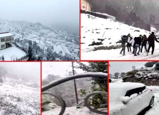 उत्तराखंड में मसूरी, धनोल्टी, नैनीताल से औली तक बर्फबारी से सफेद हुईं खूबसूरत वादियां, मैदानी इलाकों छाया कोहरा
