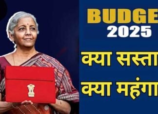 Budget 2025: बजट में क्या सस्ता हुआ और क्या महंगा? देखें पूरी लिस्ट