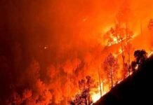 वनाग्नि रोकथाम के लिए 25 मार्च को अदवाणी क्षेत्र में मनाया जाएगा आडा दिवस