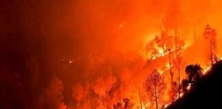 वनाग्नि रोकथाम के लिए 25 मार्च को अदवाणी क्षेत्र में मनाया जाएगा आडा दिवस
