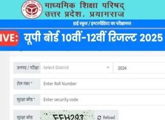 UP Board Result 2025: यूपी बोर्ड का रिजल्ट जारी, 10वीं में यश प्रताप सिंह, 12वीं में महक जायसवाल ने किया टॉप UP Board Result 2025