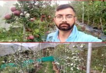 चम्पावत के कमल गिरी से लीजिए स्वरोजगार की प्रेरणा, सरकारी योजनाओं का लाभ लेकर बने सफल उद्यानपति kamal giri farmar champawat