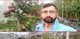 चम्पावत के कमल गिरी से लीजिए स्वरोजगार की प्रेरणा, सरकारी योजनाओं का लाभ लेकर बने सफल उद्यानपति kamal giri farmar champawat
