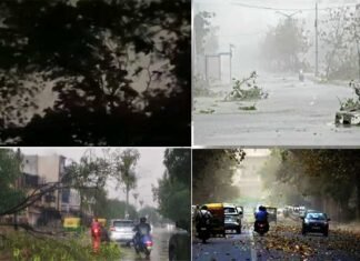 दिल्ली-एनसीआर में अचानक बदला मौसम, आंधी तूफान के साथ झमाझम बारिश, कई जगह पेड़ गिरे Heavy rains with strong winds in Delhi NCR