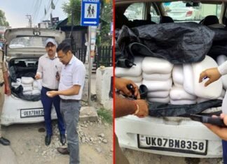 देहरादून में FDA ने 500 किलो मिलावटी पनीर किया जब्त adulterated cheese