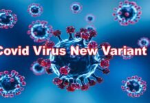 देशभर में फिर फैलने लगा है कोरोना वायरस का नया वैरिएंट, उत्तराखंड में कोविड पॉजिटिव मिलीं 2 महिलाएं, दिल्ली-एनसीआर समेत कई राज्यों में मिले केस covid-virus-new-variant NB.1.8.1, LF.7