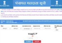 उत्तराखंड: त्रिस्तरीय पंचायत चुनाव की वोटर लिस्ट जारी, इस वेबसाइट पर चेक कर लें अपना नाम pamchayat voter list uttarakhand