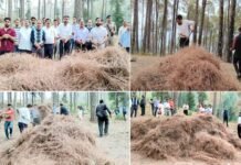 सतपुली में लगेगी पिरुल ब्रिकेटिंग यूनिट, वनाग्नि का नहीं, आर्थिकी का कारक बनेगा पिरुल: डीएम