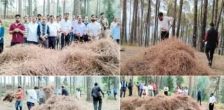 सतपुली में लगेगी पिरुल ब्रिकेटिंग यूनिट, वनाग्नि का नहीं, आर्थिकी का कारक बनेगा पिरुल: डीएम