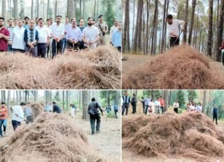 सतपुली में लगेगी पिरुल ब्रिकेटिंग यूनिट, वनाग्नि का नहीं, आर्थिकी का कारक बनेगा पिरुल: डीएम