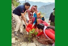 बेटी की विदाई पर समळौण पौधारोपण
