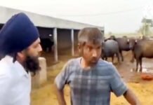 पंजाब में गौशाला में काम कर रहे चमोली के युवक को बंधक बनाये जाने का मामला, सीएम धामी ने लिया मामले का संज्ञान Chamoli youth being held hostage in Punjab