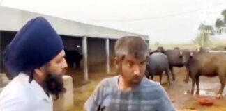 पंजाब में गौशाला में काम कर रहे चमोली के युवक को बंधक बनाये जाने का मामला, सीएम धामी ने लिया मामले का संज्ञान Chamoli youth being held hostage in Punjab