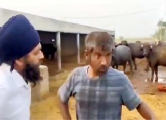 पंजाब में गौशाला में काम कर रहे चमोली के युवक को बंधक बनाये जाने का मामला, सीएम धामी ने लिया मामले का संज्ञान Chamoli youth being held hostage in Punjab