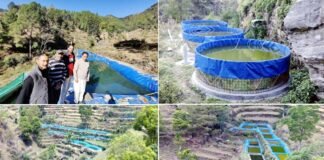 ग्वाड़ीगाड़ गांव बना मत्स्य ग्राम, एक तालाब से बनाये 36 तालाब, किसानों की मेहनत से बदली गांव की तस्वीर