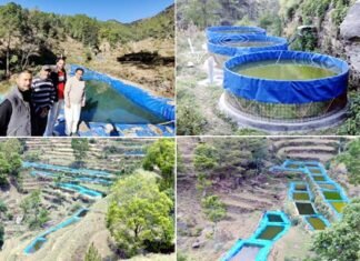 ग्वाड़ीगाड़ गांव बना मत्स्य ग्राम, एक तालाब से बनाये 36 तालाब, किसानों की मेहनत से बदली गांव की तस्वीर