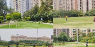 ग्रेटर नोएडा वेस्ट के सेक्टर 16बी में बनेगा ‘सरस्वती गार्डन’, पार्क में दिखेगा ज्ञान, संगीत और कला का संगम Saraswati Garden in Greater Noida West