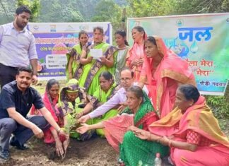 बेडू बनेगा आमदनी का जरिया, डोभ श्रीकोट व मल्ली गांव में 300 बेड़ू के पौधों का किया गया रोपण