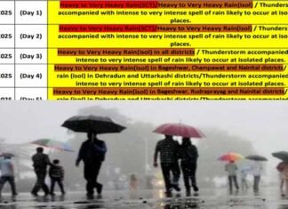 उत्तराखंड में सात जिलों में भारी बारिश का रेड अलर्ट, 24 घंटे के लिए रोकी गई चारधाम यात्रा, अलकनंदा का जलस्तर बढ़ा, कई जगह हाईवे बंद heavy rain alert in uttarakhand