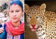 उत्तराखंड: आंगन में खेल रहे मासूम पर गुलदार ने किया हमला, बचाने के लिए पीछे दौड़ी मां ने आदमखोर के जबड़े से छु़ड़ाया अपना लाल leopard-attacked-child in tehri