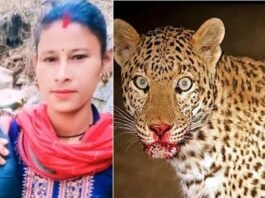 उत्तराखंड: आंगन में खेल रहे मासूम पर गुलदार ने किया हमला, बचाने के लिए पीछे दौड़ी मां ने आदमखोर के जबड़े से छु़ड़ाया अपना लाल leopard-attacked-child in tehri