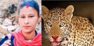 उत्तराखंड: आंगन में खेल रहे मासूम पर गुलदार ने किया हमला, बचाने के लिए पीछे दौड़ी मां ने आदमखोर के जबड़े से छु़ड़ाया अपना लाल leopard-attacked-child in tehri