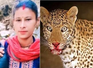 उत्तराखंड: आंगन में खेल रहे मासूम पर गुलदार ने किया हमला, बचाने के लिए पीछे दौड़ी मां ने आदमखोर के जबड़े से छु़ड़ाया अपना लाल leopard-attacked-child in tehri