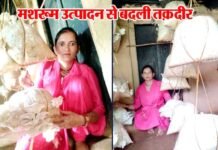सफलता की कहानी: मशरूम उत्पादन से बदली तक़दीर, माहेश्वरी देवी ने ग्रामोत्थान परियोजना से सीखा स्वरोजगार का हुनर Maheshwari Devi producing mushroom