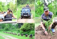 कार्बेट नेशनल पार्क में सीएम धामी ने किया जंगल सफारी का अनुभव, ‘एक पेड़ माँ के नाम’ अभियान के तहत हुआ 1000 से अधिक पौधारोपण