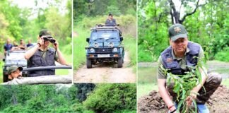 कार्बेट नेशनल पार्क में सीएम धामी ने किया जंगल सफारी का अनुभव, ‘एक पेड़ माँ के नाम’ अभियान के तहत हुआ 1000 से अधिक पौधारोपण