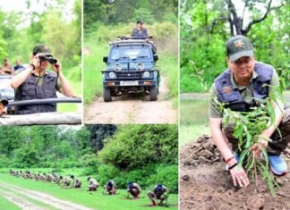 कार्बेट नेशनल पार्क में सीएम धामी ने किया जंगल सफारी का अनुभव, ‘एक पेड़ माँ के नाम’ अभियान के तहत हुआ 1000 से अधिक पौधारोपण
