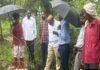 ग्रेटर नोएडा में पेड़ों को काटने के मामले में प्राधिकरण का बड़ा ऐक्शन