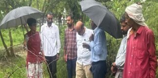 ग्रेटर नोएडा में पेड़ों को काटने के मामले में प्राधिकरण का बड़ा ऐक्शन