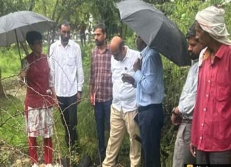 ग्रेटर नोएडा में पेड़ों को काटने के मामले में प्राधिकरण का बड़ा ऐक्शन