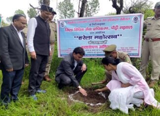 पौड़ी-टेका मार्ग पर रोपे विभिन्न प्रजाति के पौधे, जिला विधिक सेवा प्राधिकरण की पहल पर चलाया वृक्षारोपण कार्यक्रम Teka road, tree plantation