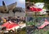 Air India Plane Crash: अहमदाबाद विमान हादसे से पहले क्या हुआ था?, दोनों पायलटों में क्या बात हुई; AAIB की जांच रिपोर्ट मे चौंकाने वाले खुलासे