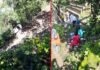 उत्तराखंड में फिर सड़क हादसा, सड़क से नीचे गिरी क्रेटा कार