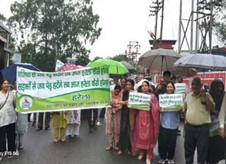 धाद ने हरेला मार्च के साथ उठाये बीरान गांव और कटते हुए पेड़ों के सवाल, जब गांव हो रहे हो वीरान तब वहाँ हरेला कैसे हो?