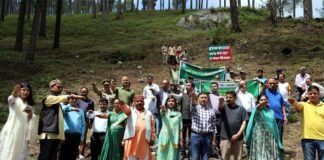 हरेला पर्व पर जनपद पौड़ी में 50,000 पौधों का रोपण, पर्यावरण संरक्षण का लिया संकल्प