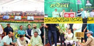 उत्तराखंड में लोकपर्व हरेला की धूम, मुख्यमंत्री ने रोपा रुद्राक्ष का पौधा