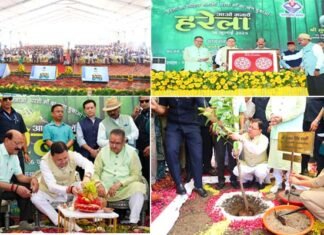 उत्तराखंड में लोकपर्व हरेला की धूम, मुख्यमंत्री ने रोपा रुद्राक्ष का पौधा