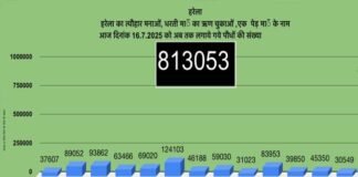 उत्तराखंड में हरेला पर्व बना हरित क्रांति का उत्सव, 8 लाख से ज्यादा पौधे रोपे गए