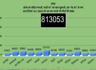 उत्तराखंड में हरेला पर्व बना हरित क्रांति का उत्सव, 8 लाख से ज्यादा पौधे रोपे गए