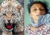 गौशाला के समीप घास काट रही महिला पर गुलदार ने किया हमला, ग्रामीणों में दहशत