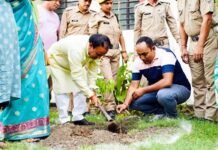 हरेला पर्व पर शिक्षा विभाग ने रोपे 1.5 लाख से अधिक पौधे, पर्यावरण संरक्षण को छात्र-छात्राओं व शिक्षकों ने दिया अनूठा संदेश