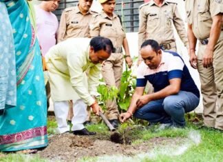 हरेला पर्व पर शिक्षा विभाग ने रोपे 1.5 लाख से अधिक पौधे, पर्यावरण संरक्षण को छात्र-छात्राओं व शिक्षकों ने दिया अनूठा संदेश